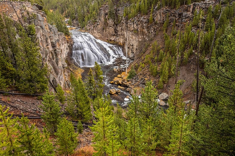 Picture of GIBBON FALLS-YELLOWSTONE NATIONAL PARK-WYOMING