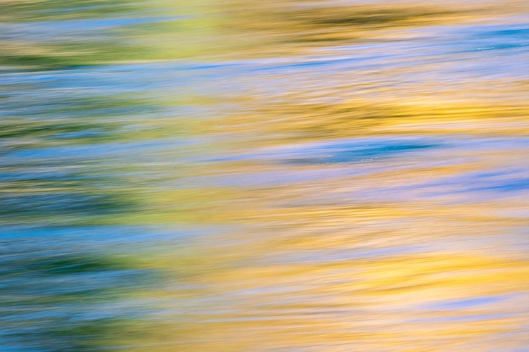 Picture of SUNSET COLORS AND TREES REFLECTING ON SNAKE RIVER-GRAND TETON NATIONAL PARK-WYOMING