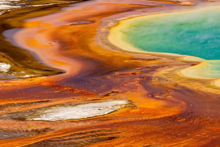 Picture of ELEVATED VIEW OF PATTERNS IN BACTERIAL MAT AROUND GRAND PRISMATIC SPRING