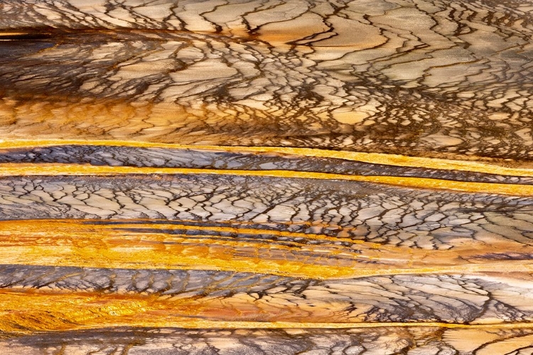 Picture of ELEVATED VIEW OF PATTERNS IN BACTERIAL MAT AROUND GRAND PRISMATIC SPRING