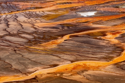 Picture of ELEVATED VIEW OF PATTERNS IN BACTERIAL MAT AROUND GRAND PRISMATIC SPRING