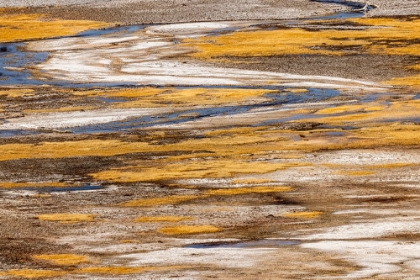 Picture of ELEVATED VIEW OF PATTERNS IN BACTERIAL MAT AROUND GRAND PRISMATIC SPRING