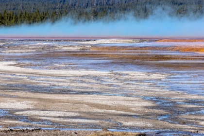 Picture of ELEVATED VIEW OF PATTERNS IN BACTERIAL MAT AROUND GRAND PRISMATIC SPRING