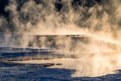 Picture of CANARY SPRING AND STEAMING MIST AT SUNRISE-MAMMOTH HOT SPRINGS-YELLOWSTONE NATIONAL PARK-WYOMING