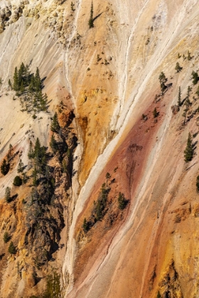 Picture of STEEP COLORFUL CANYON WALLS OF HYDROTHERMALLY ALTERED RHYOLITE-GRAND CANON OF THE YELLOWSTONE