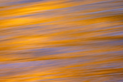 Picture of SUNSET COLORS AND TREES REFLECTING ON SNAKE RIVER-GRAND TETON NATIONAL PARK-WYOMING