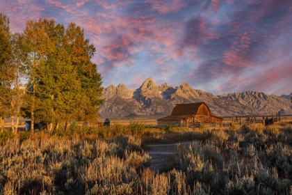 Picture of MOULTON BARN AT SUNRISE AND TETON RANGE-GRAND TETON NATIONAL PARK-WYOMING