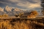 Picture of MOULTON BARN AT SUNRISE AND TETON RANGE-GRAND TETON NATIONAL PARK-WYOMING
