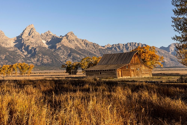 Picture of MOULTON BARN AT SUNRISE AND TETON RANGE-GRAND TETON NATIONAL PARK-WYOMING