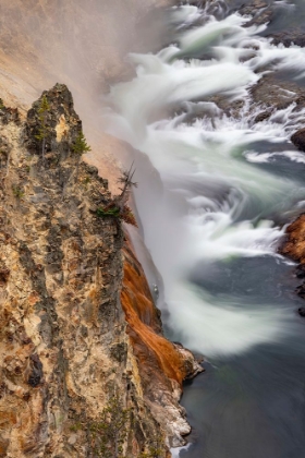 Picture of TURBULENT WATER BELOW LOWER FALLS-GRAND CANYON OF THE YELLOWSTONE-YELLOWSTONE NATIONAL PARK-WYOMING