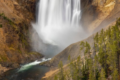 Picture of LOWER FALLS-GRAND CANYON OF THE YELLOWSTONE-YELLOWSTONE NATIONAL PARK-WYOMING