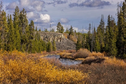 Picture of COLUMNAR BASALT FORMATION AT SHEEPEATER CLIFFS-YELLOWSTONE NATIONAL PARK-WYOMING