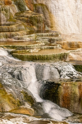 Picture of CANARY SPRING TERRACES AT SUNRISE-MAMMOTH HOT SPRINGS-YELLOWSTONE NATIONAL PARK-WYOMING