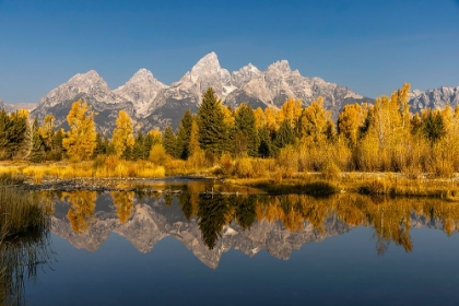 Picture of TETON RANGE FROM SCHWABACHER LANDING-GRAND TETON NATIONAL PARK-WYOMING