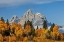 Picture of GOLDEN ASPEN TREES AND CATHEDRAL GROUP-GRAND TETON NATIONAL PARK-WYOMING