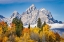 Picture of GOLDEN ASPEN TREES AND CATHEDRAL GROUP-GRAND TETON NATIONAL PARK-WYOMING