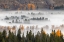 Picture of ELEVATED VIEW OF ASPEN AND COTTONWOOD TREES MIST ALONG SNAKE RIVER-GRAND TETON NATIONAL PARK-WYOMING