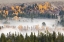 Picture of ELEVATED VIEW OF ASPEN AND COTTONWOOD TREES MIST ALONG SNAKE RIVER-GRAND TETON NATIONAL PARK-WYOMING