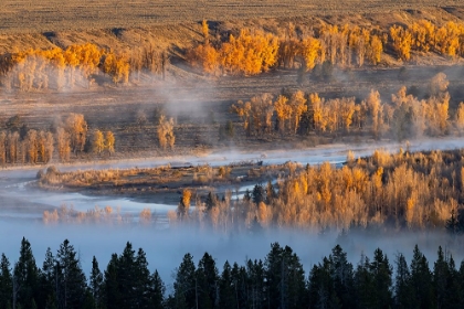 Picture of ELEVATED VIEW OF ASPEN AND COTTONWOOD TREES MIST ALONG SNAKE RIVER-GRAND TETON NATIONAL PARK-WYOMING