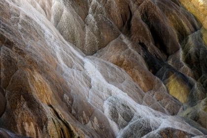 Picture of COLORFUL TRAVERTINE SLOPE WITH YELLOW AND BROWN CYANOBACTERIA-MAMMOTH HOT SPRINGS