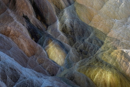 Picture of COLORFUL TRAVERTINE SLOPE WITH YELLOW AND BROWN CYANOBACTERIA-MAMMOTH HOT SPRINGS