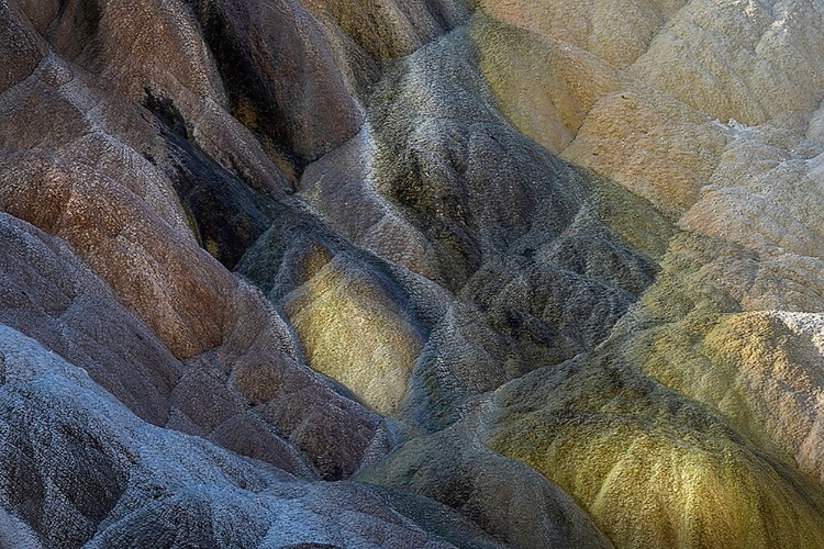 Picture of COLORFUL TRAVERTINE SLOPE WITH YELLOW AND BROWN CYANOBACTERIA-MAMMOTH HOT SPRINGS