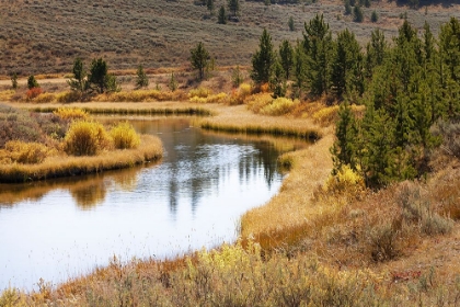 Picture of AUTUMN VIEW OF GARDINER RIVER-YELLOWSTONE NATIONAL PARK-WYOMING