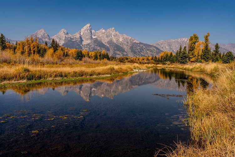 Picture of USA-MONTANA-GRAND TETON NATIONAL PARK GRAND TETON RANGE AND STREAM REFLECTS IN STREAM