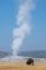 Picture of USA-WYOMING-YELLOWSTONE NATIONAL PARK-UPPER GEYSER BASIN-LONE MALE AMERICAN BISON-AKA BUFFALO-IN FR