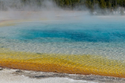 Picture of USA-WYOMING-YELLOWSTONE NATIONAL PARK-BLACK SAND BASIN-RAINBOW POOL