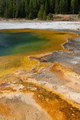 Picture of USA-WYOMING-YELLOWSTONE NATIONAL PARK-BLACK SAND BASIN-EMERALD POOL-GREEN POOL WITH YELLOW THERMOPI