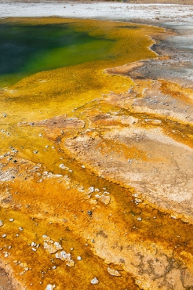 Picture of USA-WYOMING-YELLOWSTONE NATIONAL PARK-BLACK SAND BASIN-EMERALD POOL-GREEN POOL WITH YELLOW THERMOPI
