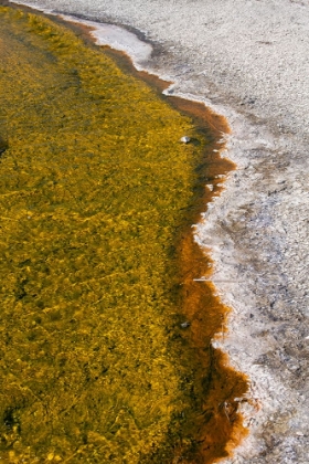 Picture of USA-WYOMING-YELLOWSTONE NATIONAL PARK-BISCUIT BASIN-SAPPHIRE POOL-COLORFUL THERMOPHILE RIVER AND BA