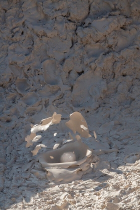 Picture of USA-WYOMING-YELLOWSTONE NATIONAL PARK-ATRISTS PAINTPOTS-BOILING HOT MUD POTS-DETAIL OF EXPLODING BU