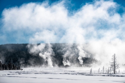 Picture of USA-YELLOWSTONE-NORRIS GEYSER BASIN