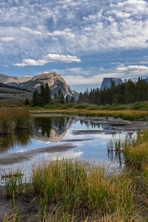 Picture of USA-WYOMING-WHITE ROCK MOUNTAIN AND SQUARETOP PEAK ABOVE GREEN RIVER WETLAND-WIND RIVER MOUNTAINS