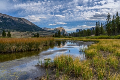 Picture of USA-WYOMING-WHITE ROCK MOUNTAIN AND SQUARETOP PEAK ABOVE GREEN RIVER WETLAND