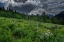 Picture of USA-WYOMING-DRAMATIC CLOUDS AND WILDFLOWERS IN MEADOW WEST SIDE OF TETON MOUNTAINS