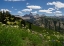 Picture of USA-WYOMING-MEADOW FILLED WITH WILDFLOWERS IN FRONT OF GRAND TETON-TETON MOUNTAINS FROM WEST IN JED
