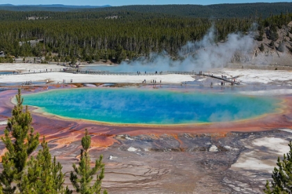 Picture of YELLOWSTONE NATIONAL PARK-USA-WYOMING GRAND PRISMATIC SPRING WITH TOURIST