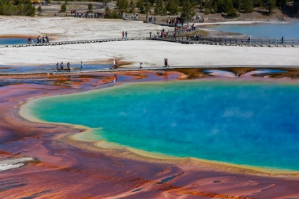 Picture of YELLOWSTONE NATIONAL PARK-USA-WYOMING GRAND PRISMATIC SPRING WITH TOURIST