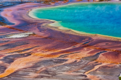 Picture of YELLOWSTONE NATIONAL PARK-USA-WYOMING GRAND PRISMATIC SPRING-MIDWAY GEYSER BASIN