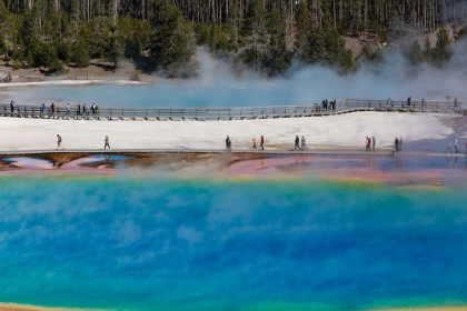 Picture of YELLOWSTONE NATIONAL PARK-USA-WYOMING GRAND PRISMATIC SPRING WITH TOURIST
