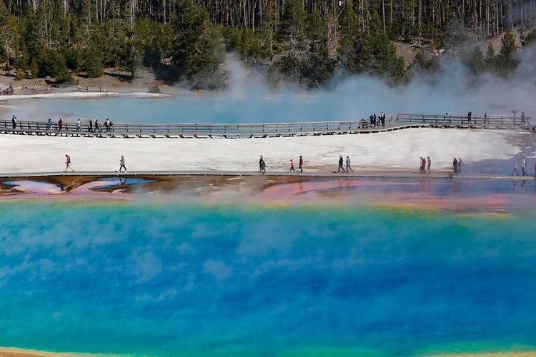 Picture of YELLOWSTONE NATIONAL PARK-USA-WYOMING GRAND PRISMATIC SPRING WITH TOURIST