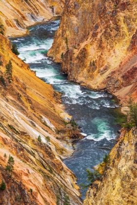 Picture of THE YELLOWSTONE RIVER IN THE GRAND CANYON OF THE YELLOWSTONE-YELLOWSTONE NATIONAL PARK-WYOMING-USA