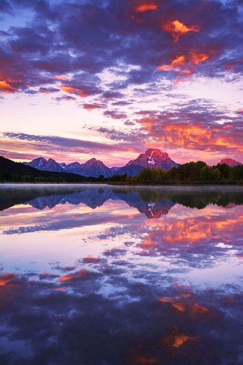 Picture of DAWN LIGHT OVER THE TETONS FROM OXBOW BEND-GRAND TETON NATIONAL PARK-WYOMING-USA