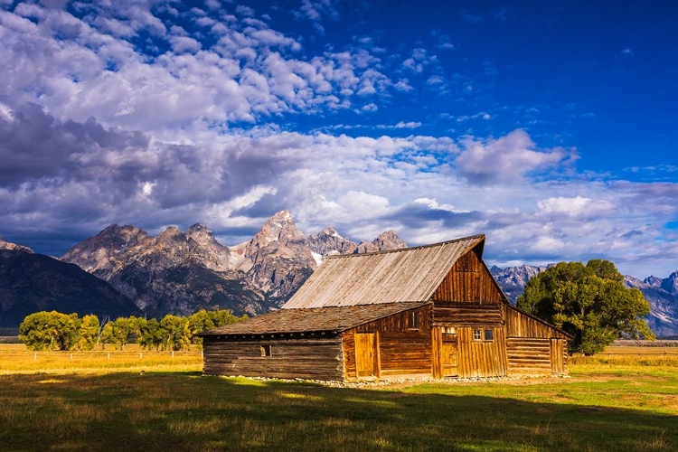 Picture of THE MOULTON BARN ON MORMON ROW-GRAND TETON NATIONAL PARK-WYOMING-USA