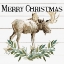 Picture of MERRY CHRISTMAS MOOSE