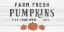 Picture of FARM FRESH PUMPKINS