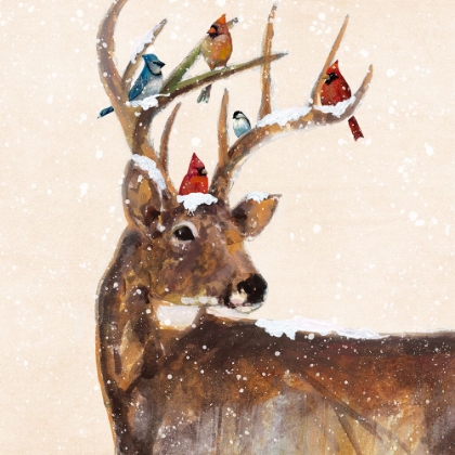Picture of WINTER STAG AND FRIENDS